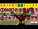 ①GACKTが「マレーシアで日本人はひどい目に」②インドのゴキブリ党がデモ開催
