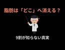 【驚愕】9割が知らない「脂肪の消え方」。体を科学でハックするダイエット雑学8選【雑学】