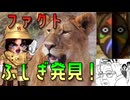 平均相場13000円の怪作RPG実況プレイ#34【マリカ～真実の世界～】