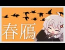 春のガン探鳥2026 美しき翼に魅せられて＃２３【野鳥観察】【第３回ナイスビュー投稿祭】