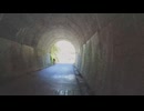 心霊トンネル「実録心霊現場！本当に映った恐怖の映像　7連発」