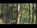 うごめく森林「実録心霊現場！本当に映った恐怖の映像　7連発」