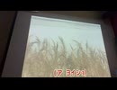 カラオケ「俺ら東京さ行ぐだ」吉幾三　1984.11.25