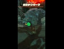 【ティアキン】クロカツの根付近の白蒼デグガーマ ゼルダの伝説ティアーズオブザキングダム