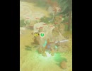 【 BotW 】 タコ祭り ( Octorok festival )【 ドリカラ 】#shorts