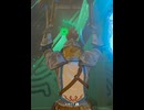 【 BotW 】 ゴムゴムの英傑 ( Rubber Champion )【 ドリカラ 】#shorts