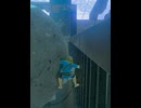 【 BotW 】 そこまでやることはないだろ！ ( Persistent pursuit )【 ドリカラ 】#shorts