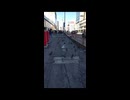 新宿の鳩：Pigeons of Shinjuku