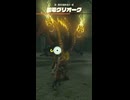 【ティアキン】闘技場跡地の雷電グリオーク ゼルダの伝説ティアーズオブザキングダム