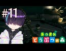 何もない博物館を巡ります【あつまれ どうぶつの森】11日目
