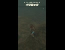 【ティアキン】ラネール湿原への抜け道のイワロック ゼルダの伝説ティアーズオブザキングダム