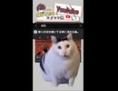 【？？】YouTubeコメント欄がもはや大喜利大会になっていた Part 7