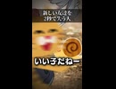 【小春六花】新しい友達を2秒で失う人【ソフトウェアトーク劇場】