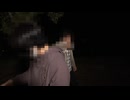 宴に紛れて「ワケアリ SNSで噂の心霊動画10本 2」