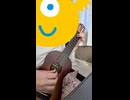 ギタレレ練習365日目「ローズ・オブ・メイ」