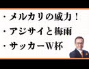 メルカリの威力　アジサイと梅雨　6月の雨の日数　分析好き　参政党　コロナワクチン　サッカーワールドカップ　長友　イタリアテニス　全仏テニス　利己と利他　家族より他人に親切にする理由　目が見えるというこ