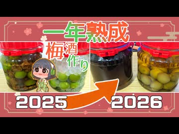 京町セイカの梅酒作りの１年後『氷砂糖＆黒糖』