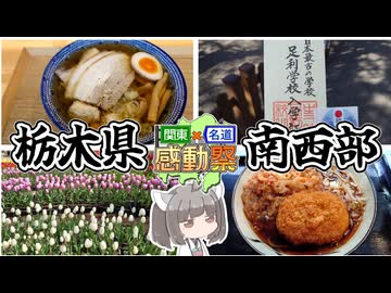 【関東×名道×感動祭】栃木県南西部の観光でメン喰らってきた日【VOICEROID車載】