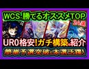 24選【オススメデッキ】WCS予選突破を簡単なガチ構築！勝ちたい人必見！上位を狙える最強環境デッキと格安紹介【初心者オススメ】DC【遊戯王マスターデュエル】実況
