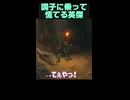 調子に乗ってゼルダにちょっかい出してビビりだす英傑