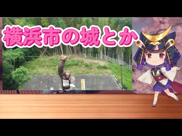【第3回ナイスビュー投稿祭】横浜市の城とか