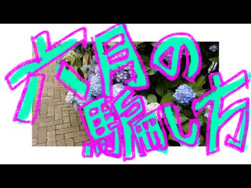 六月の騙し方/初音ミク