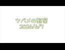 つばめの観察2026No020