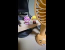 ヘタレインコム、の八割適当にやってます　スマホ日記　6/7