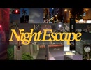 Night Escape / pani feat.重音テト