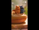 夢みたいな夢