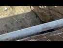 【オリジナル曲】thing/初音ミク