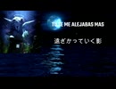 Y LLORO カラオケ