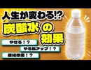 【科学的根拠あり】炭酸水の驚異的な健康効果【ゆっくり解説】