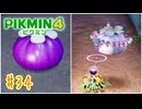 【生声実況】秘宝を手に入れろ【ピクミン4】#34