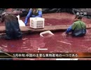 ホモ見 毎日数トンが出荷  中国で発覚した果物の「薬漬け」の闇