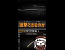 【EFT】あかりちゃんはゴルゴ13になりたいようです