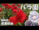 福岡｜バラ園に行ってきました【VOICEROID旅行】