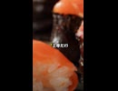 ごくせん