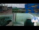九頭竜川お魚散歩！！