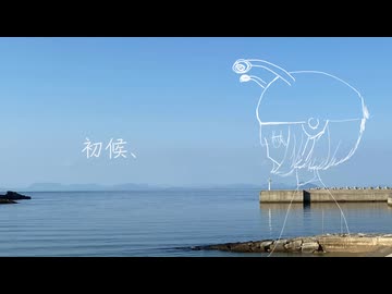 初候、/こちぇ