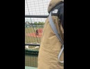 令和8年6月7日 オイシックス新潟アルビレックスBC戦 代打中島卓也（ウインドヒルひがし北海道スタジアム）