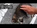 沖縄旅行2026/6/5~6/7(NO編集ダイジェスト)