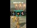 【ティアキン】ハイリア大橋の火炎グリオーク　ゼルダの伝説ティアーズオブザキングダム #ゼルダの伝説 #ティアキン #zelda