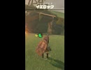 【ティアキン】バウメル高地のイエロック ゼルダの伝説ティアーズオブザキングダム