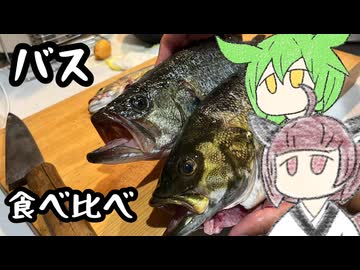 ブラックバスを食べ比べましょう【きりたんのテキトークッキング】