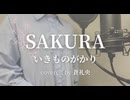 【歌ってみた】SAKURA/いきものがかり(covered by蒼礼央)