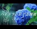 ハイドランジアと涙雨／唄音ウタ