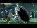 Episode 040　鏡の騎士戦【Darksouls2】プレイ動画