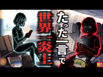 【2013】『一つの言葉で世界一炎上』キャリアウーマンが何気なく行った一軒の投稿…瞬く間に全世界に拡散され大炎上…彼女は何故ここまで炎上した？「悪」と認定された最後…『世界一炎上した女性』を解説