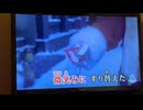 カラオケ「No  way  to  say」浜崎あゆみ　2003.11.6